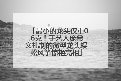 最小的龙头仅重0.6克！手艺人庞希文扎制的微型龙头蜈蚣风筝惊艳亮相