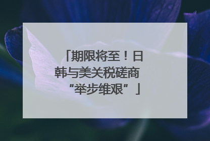 期限将至！日韩与美关税磋商“举步维艰”