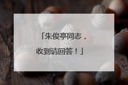 朱俊亭同志，收到请回答！