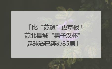 比“苏超”更草根！苏北县城“男子汉杯”足球赛已连办35届