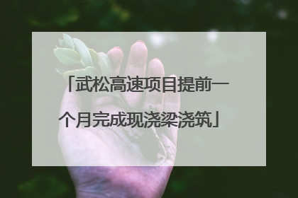 武松高速项目提前一个月完成现浇梁浇筑