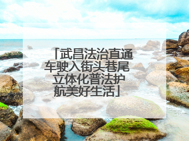 武昌法治直通车驶入街头巷尾 立体化普法护航美好生活