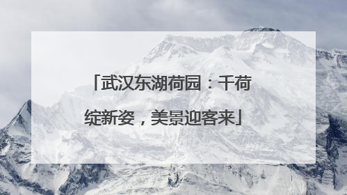 武汉东湖荷园：千荷绽新姿，美景迎客来