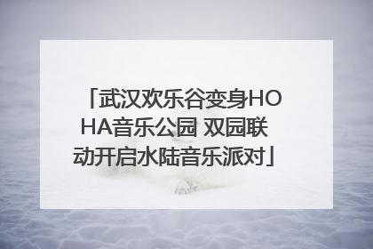 武汉欢乐谷变身HOHA音乐公园 双园联动开启水陆音乐派对
