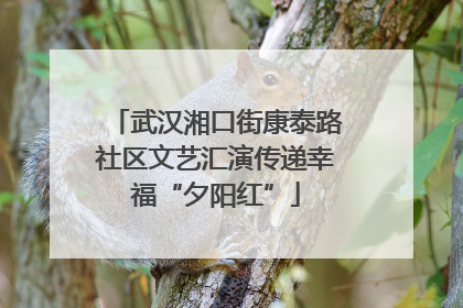武汉湘口街康泰路社区文艺汇演传递幸福“夕阳红”