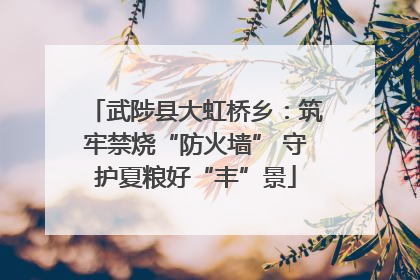 武陟县大虹桥乡：筑牢禁烧“防火墙” 守护夏粮好“丰”景