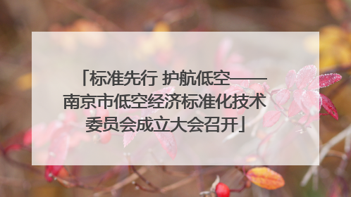 标准先行 护航低空——南京市低空经济标准化技术委员会成立大会召开