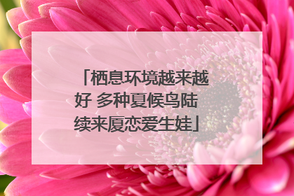 栖息环境越来越好 多种夏候鸟陆续来厦恋爱生娃