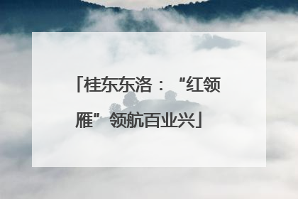 桂东东洛：“红领雁”领航百业兴