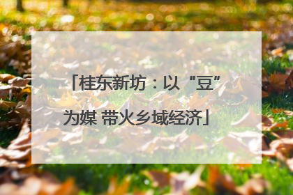 桂东新坊：以“豆”为媒 带火乡域经济