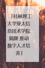 桂林理工大学亚太信息技术学院揭牌 推动数字人才培养