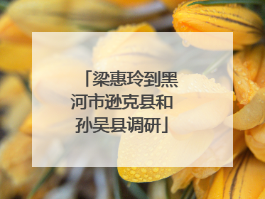 梁惠玲到黑河市逊克县和孙吴县调研