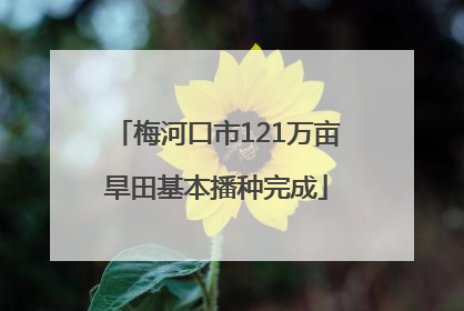 梅河口市121万亩旱田基本播种完成