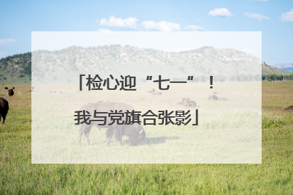 检心迎“七一”！我与党旗合张影