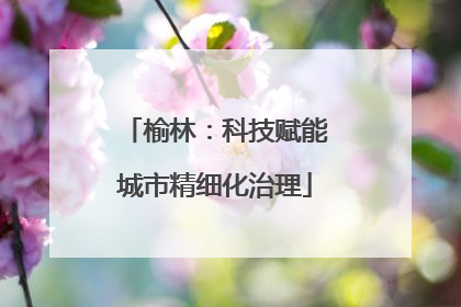 榆林：科技赋能城市精细化治理