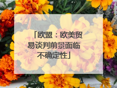 欧盟：欧美贸易谈判前景面临不确定性
