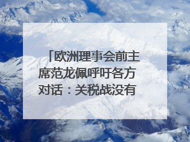 欧洲理事会前主席范龙佩呼吁各方对话：关税战没有赢家｜世界观