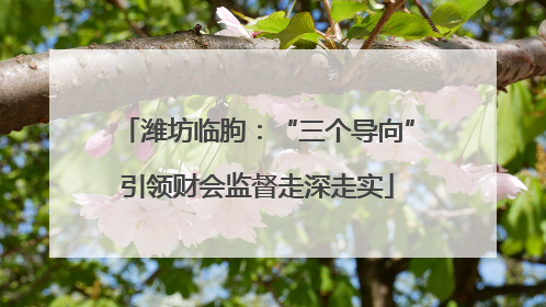 潍坊临朐：“三个导向”引领财会监督走深走实