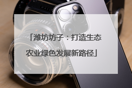 潍坊坊子：打造生态农业绿色发展新路径