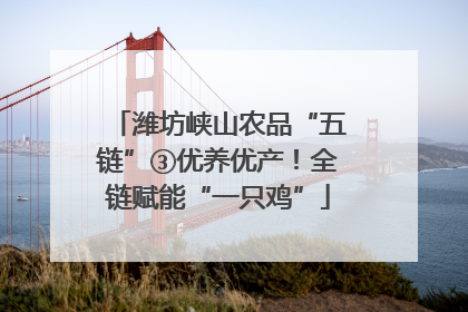 潍坊峡山农品“五链”③优养优产！全链赋能“一只鸡”