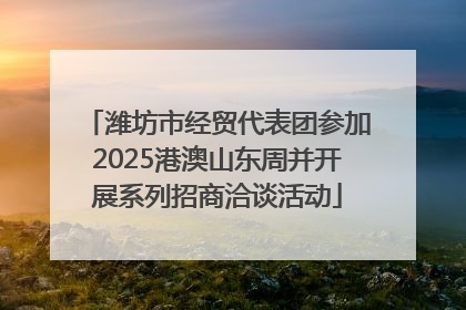 潍坊市经贸代表团参加2025港澳山东周并开展系列招商洽谈活动