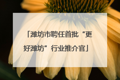 潍坊市聘任首批“更好潍坊”行业推介官