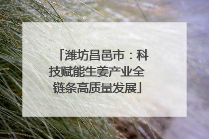 潍坊昌邑市：科技赋能生姜产业全链条高质量发展
