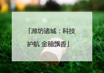 潍坊诸城：科技护航 金穗飘香