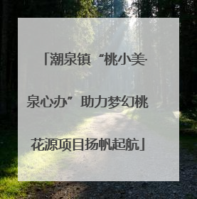 潮泉镇“桃小美·泉心办”助力梦幻桃花源项目扬帆起航