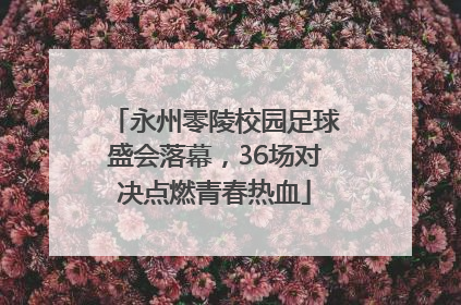 永州零陵校园足球盛会落幕，36场对决点燃青春热血