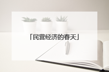 民营经济的春天