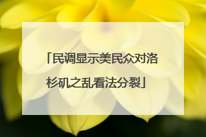 民调显示美民众对洛杉矶之乱看法分裂