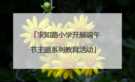 求知路小学开展端午节主题系列教育活动