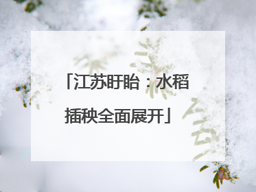 江苏盱眙：水稻插秧全面展开
