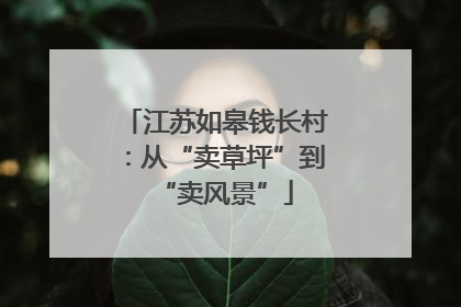 江苏如皋钱长村：从“卖草坪”到“卖风景”