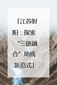江苏射阳：探索“三链融合”助残新范式