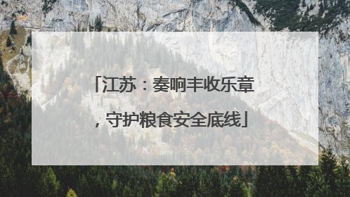 江苏：奏响丰收乐章，守护粮食安全底线