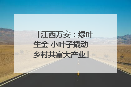 江西万安：绿叶生金 小叶子撬动乡村共富大产业