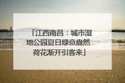 江西南昌：城市湿地公园夏日绿意盎然 荷花渐开引客来