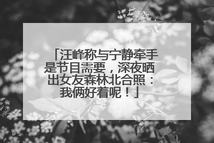 汪峰称与宁静牵手是节目需要，深夜晒出女友森林北合照：我俩好着呢！