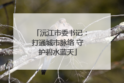 沅江市委书记：打通城市脉络 守护碧水蓝天
