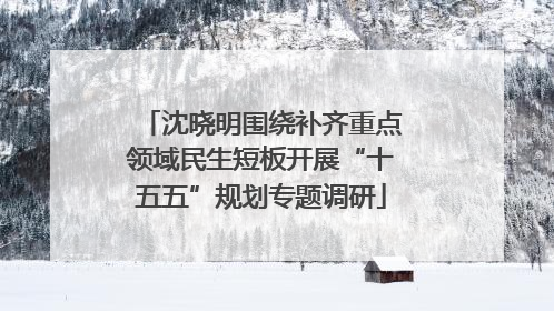 沈晓明围绕补齐重点领域民生短板开展“十五五”规划专题调研
