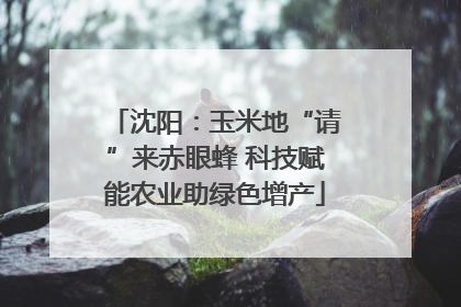 沈阳：玉米地“请”来赤眼蜂 科技赋能农业助绿色增产
