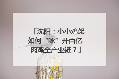 沈阳：小小鸡架如何“啄”开百亿肉鸡全产业链？