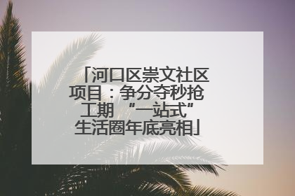 河口区崇文社区项目：争分夺秒抢工期 “一站式”生活圈年底亮相