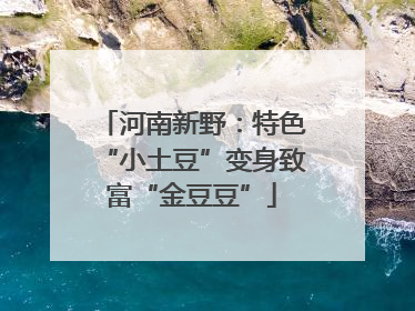 河南新野：特色“小土豆”变身致富“金豆豆”