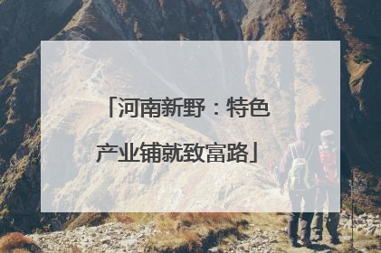 河南新野：特色产业铺就致富路