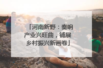 河南新野：奏响产业兴旺曲，铺展乡村振兴新画卷