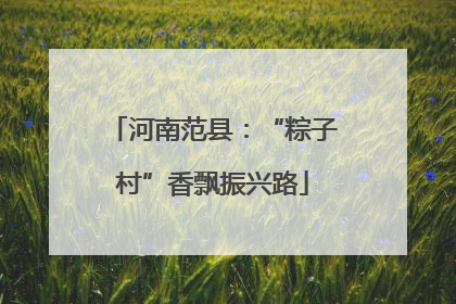 河南范县：“粽子村”香飘振兴路