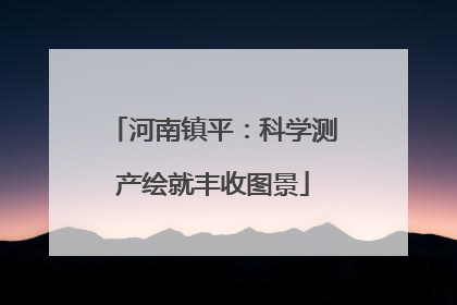 河南镇平：科学测产绘就丰收图景